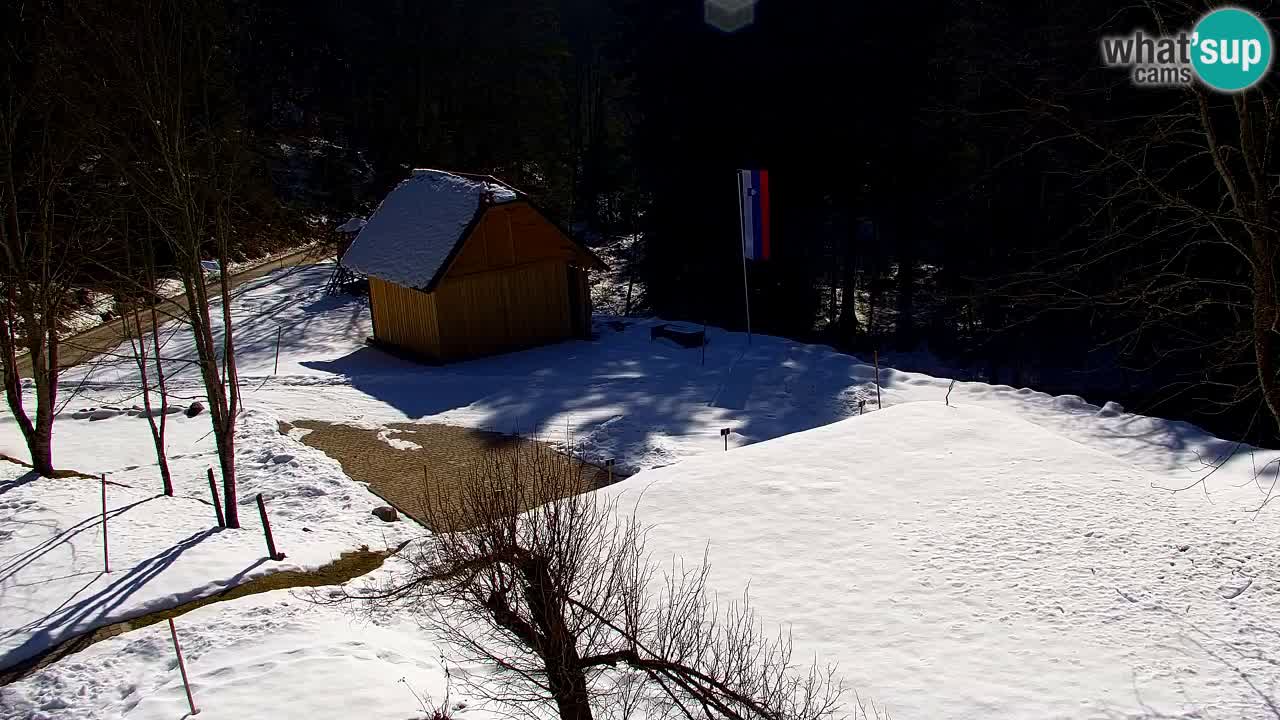 Webcam Lukanja – Water Village | Pohorje Houses