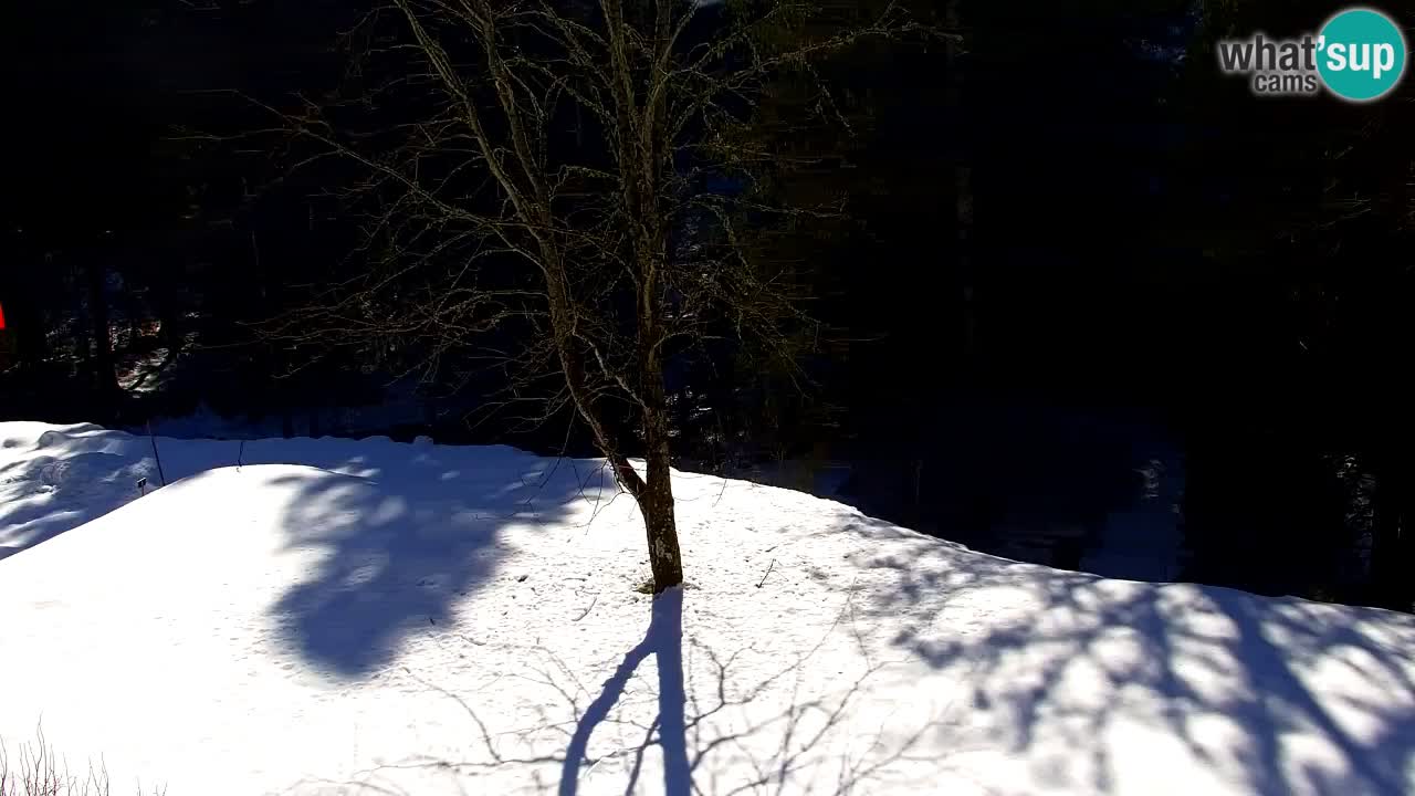 Webcam Lukanja – Water Village | Pohorje Houses