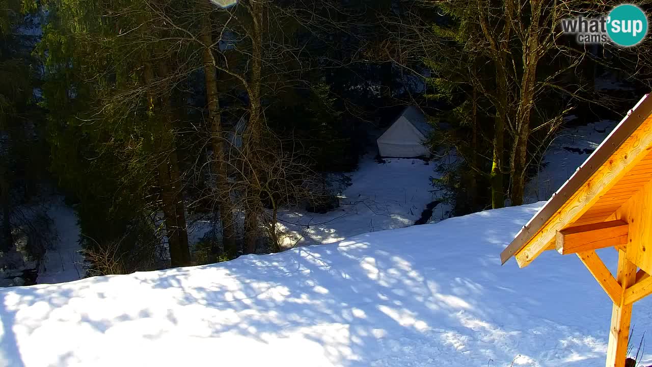 Web kamera Lukanja – Water Village | Pohorje Houses