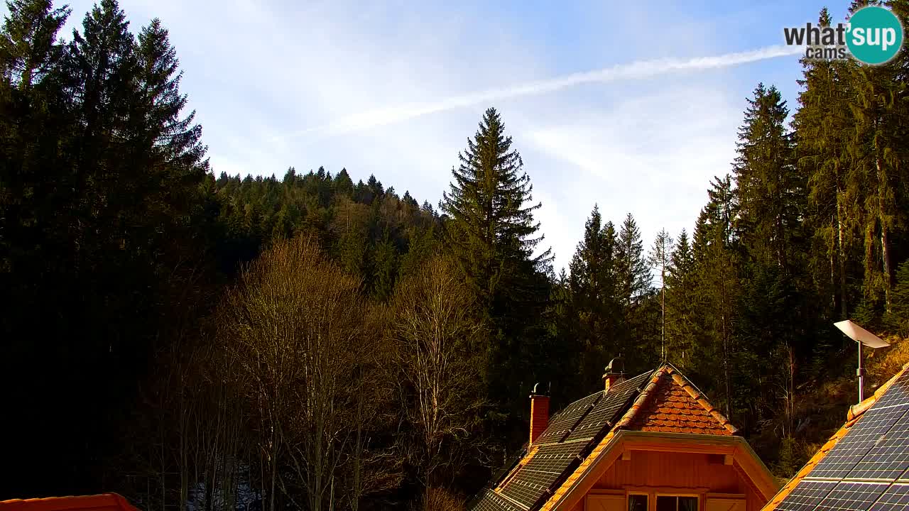 Webcam Lukanja – Water Village | Pohorje Houses