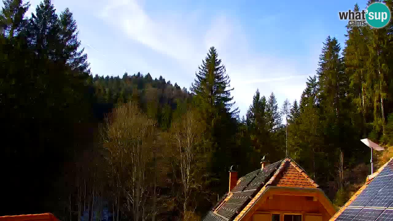 Webcam Lukanja – Pohorje houses a Water village