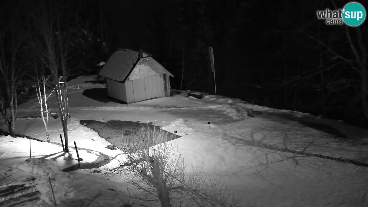 Webcam Lukanja – Water Village | Pohorje Houses