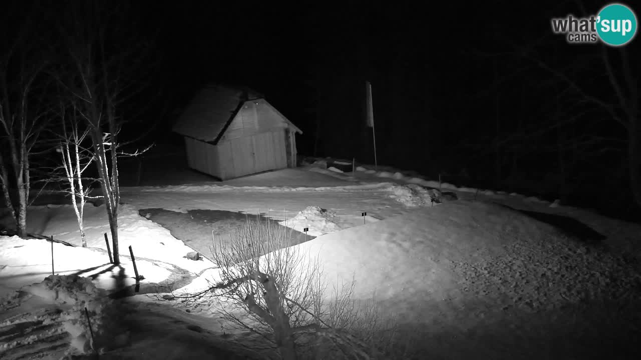 Spletna kamera Lukanja – Water Village | Pohorje Houses