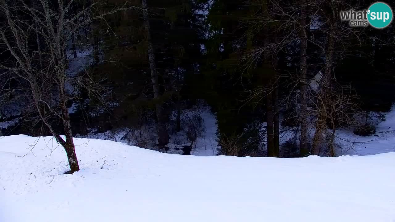 Spletna kamera Lukanja – Water Village | Pohorje Houses