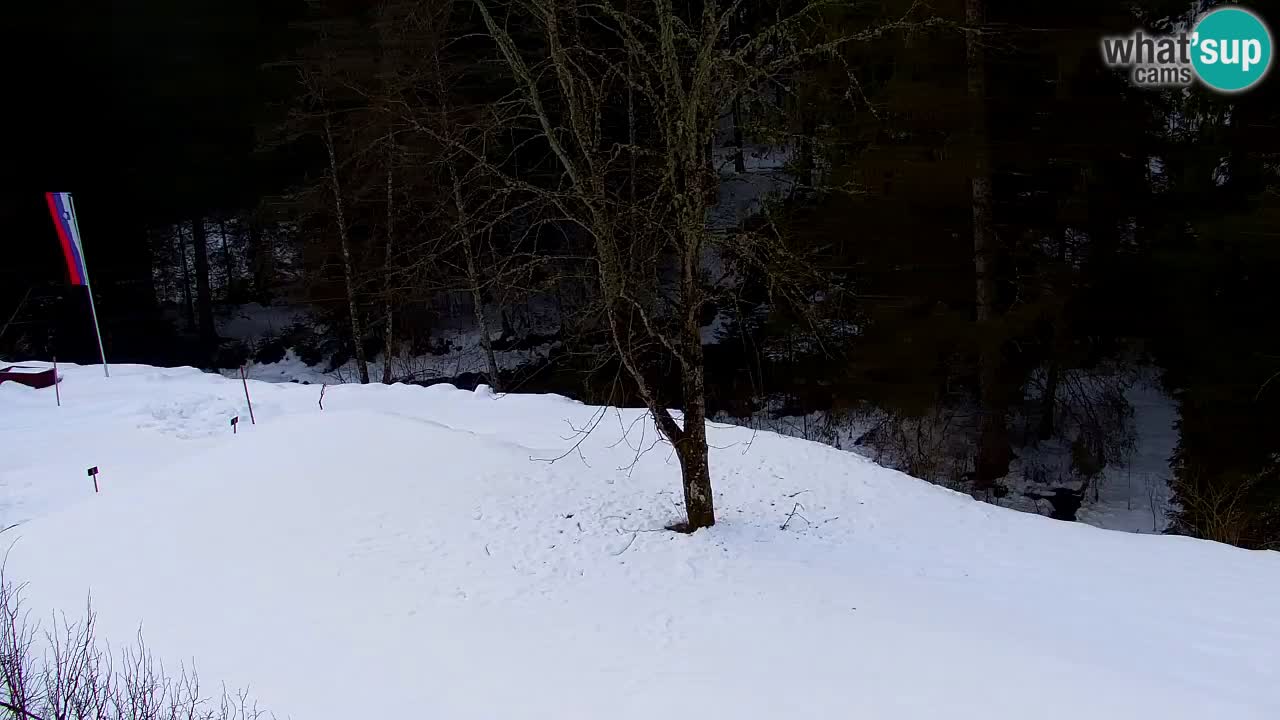 Webcam Lukanja – Water Village | Pohorje Houses