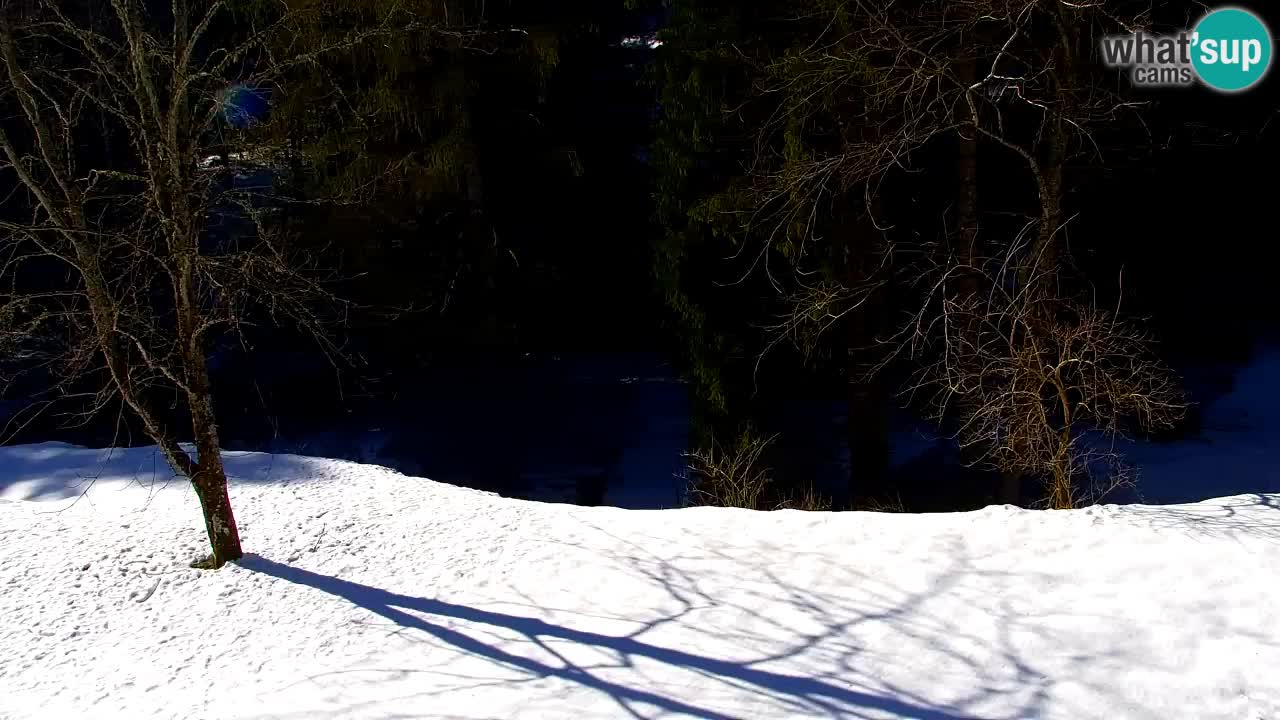 Webcam Lukanja – Water Village | Pohorje Houses