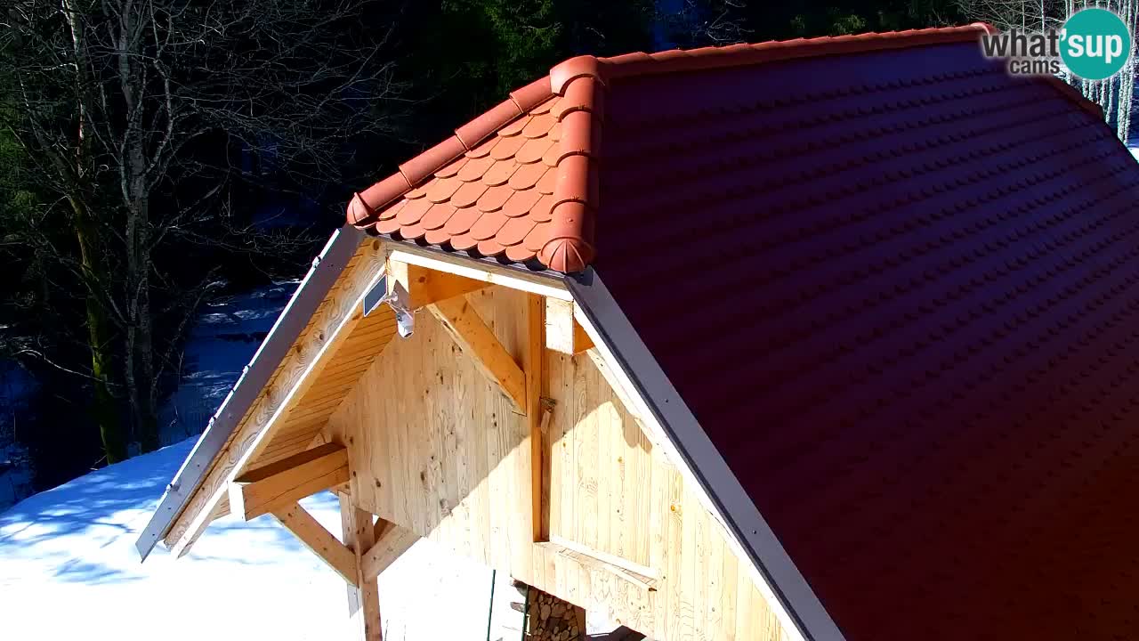 Webcam Lukanja – Pohorje houses a Water village