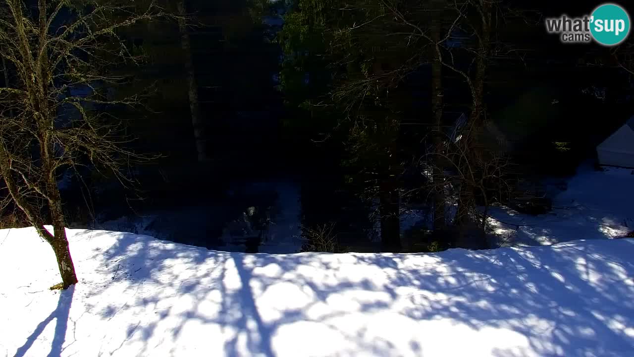 Spletna kamera Lukanja – Water Village | Pohorje Houses