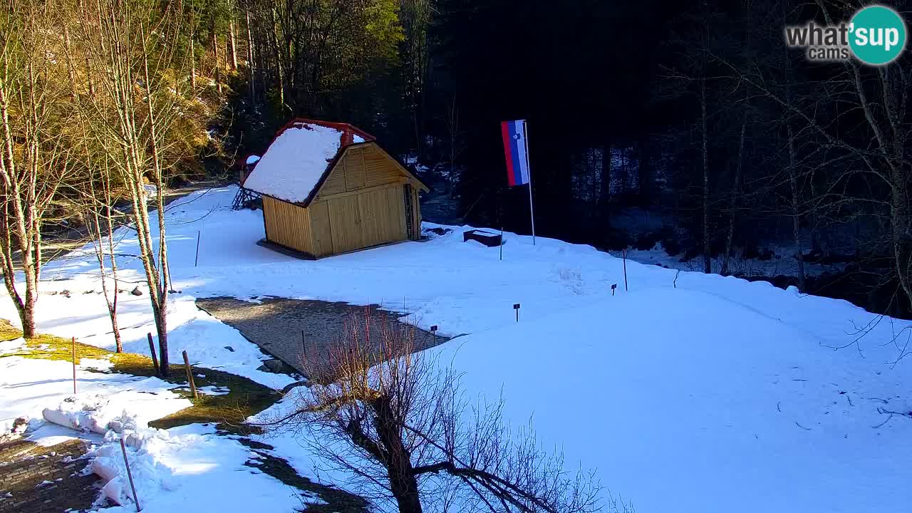 Webcam Lukanja – Water Village | Pohorje Houses