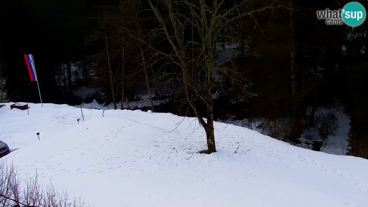 Webcam Lukanja – Water Village | Pohorje Houses