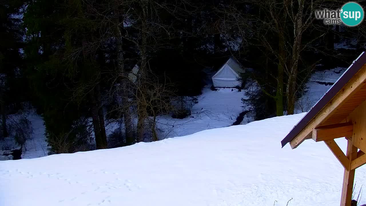 Spletna kamera Lukanja – Water Village | Pohorje Houses