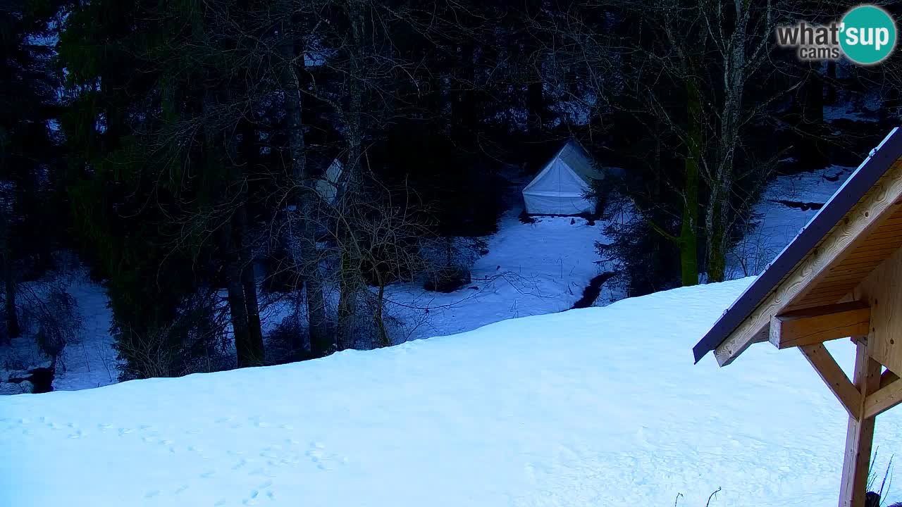 Webcam Lukanja – Water Village | Pohorje Houses