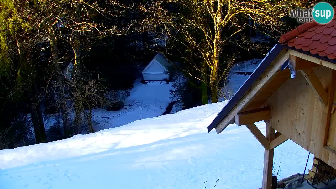 Webcam Lukanja – Water Village | Pohorje Houses