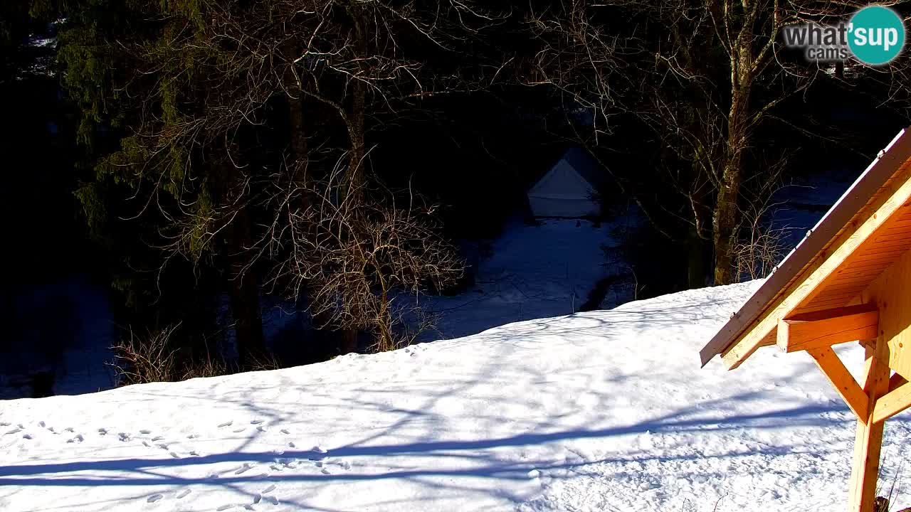 Webcam Lukanja – Water Village | Pohorje Houses
