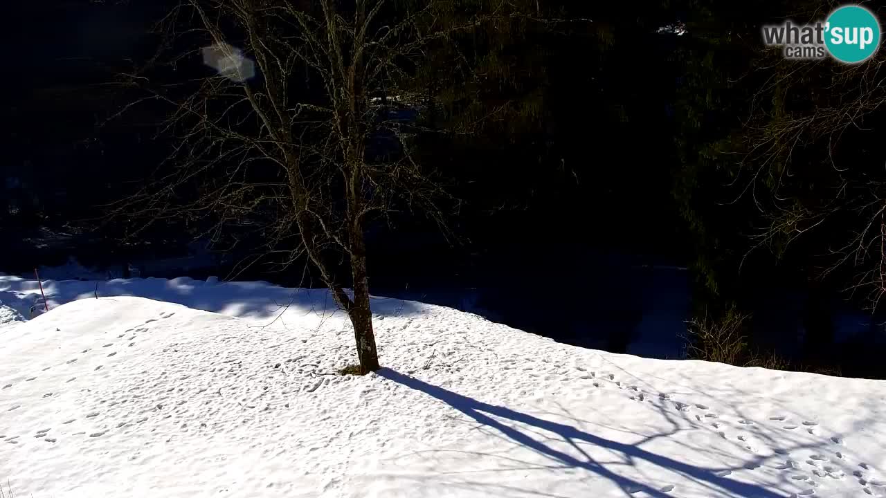 Webcam Lukanja – Water Village | Pohorje Houses