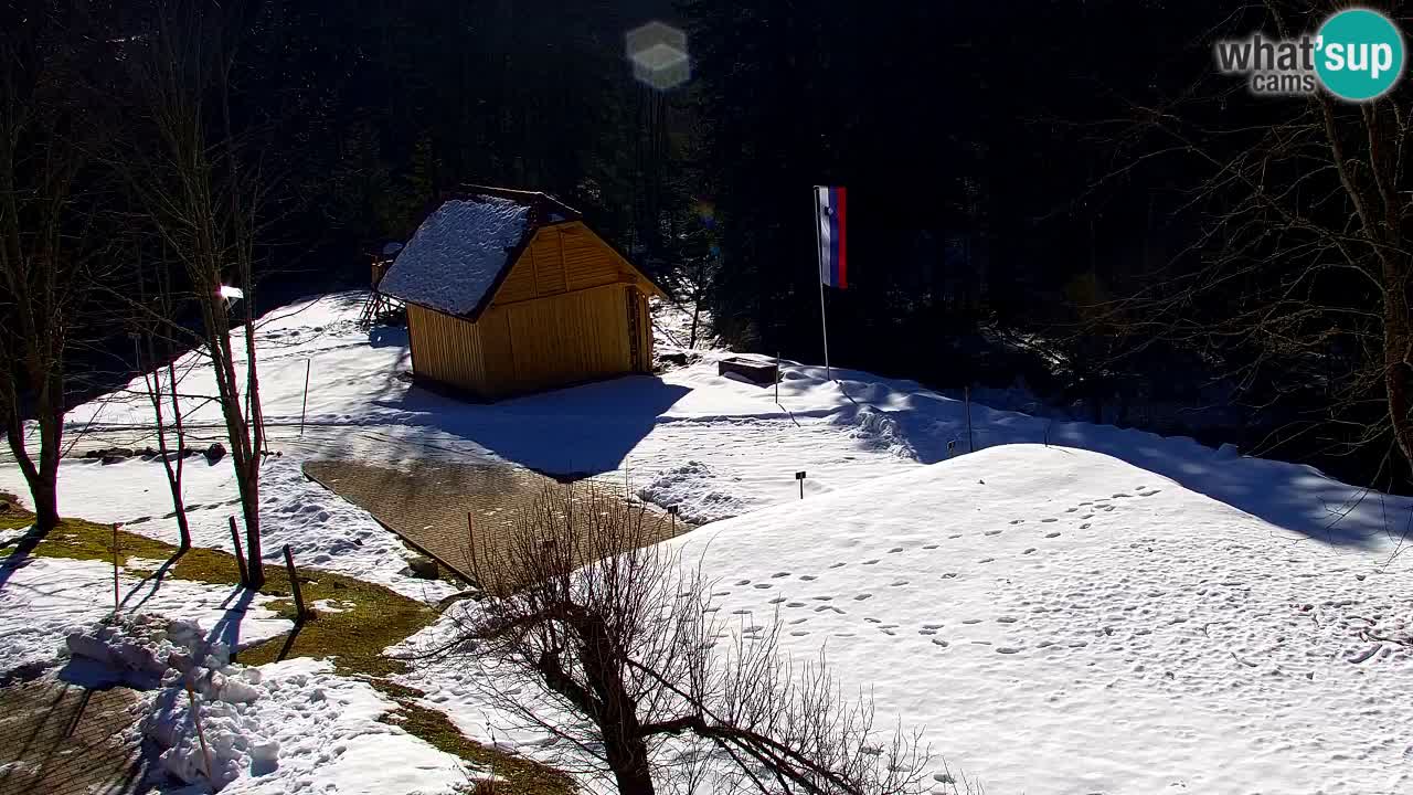 Webcam Lukanja – Water Village | Pohorje Houses