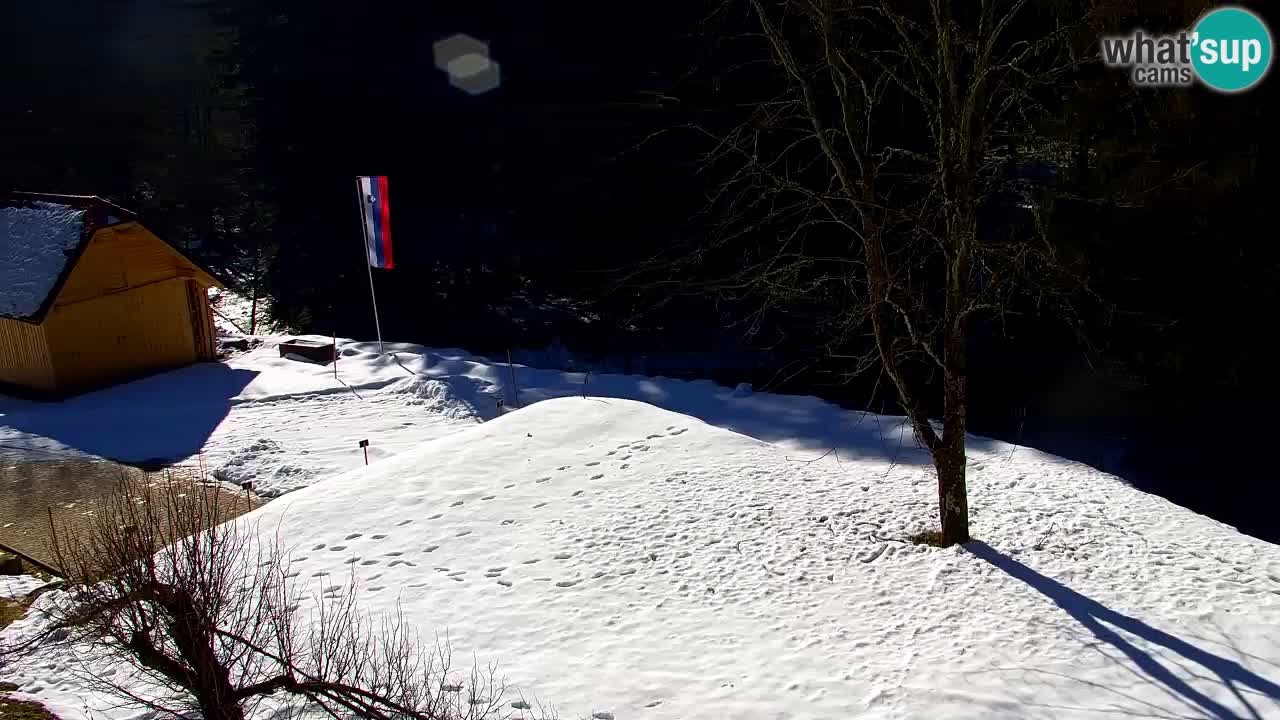 Webcam Lukanja – Water Village | Pohorje Houses