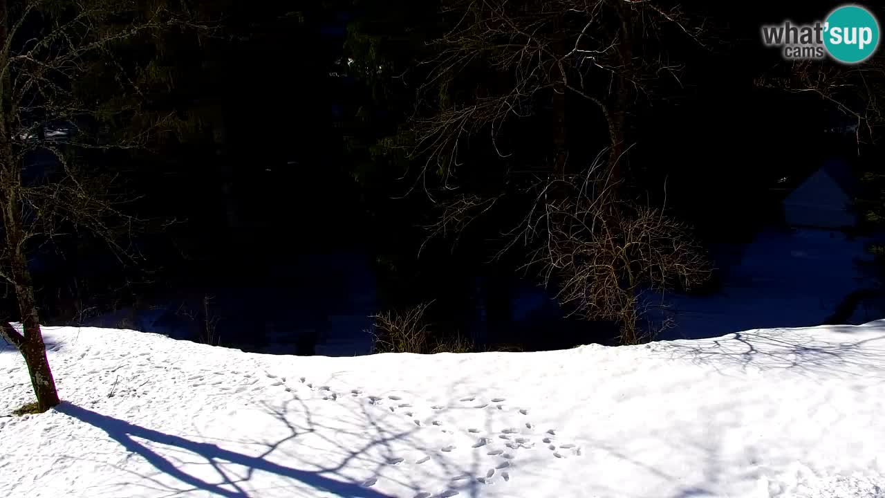 Webcam Lukanja – Water Village | Pohorje Houses