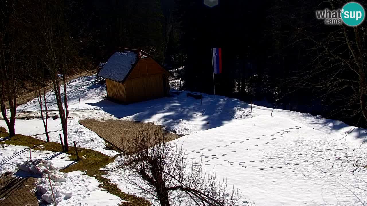 Spletna kamera Lukanja – Water Village | Pohorje Houses