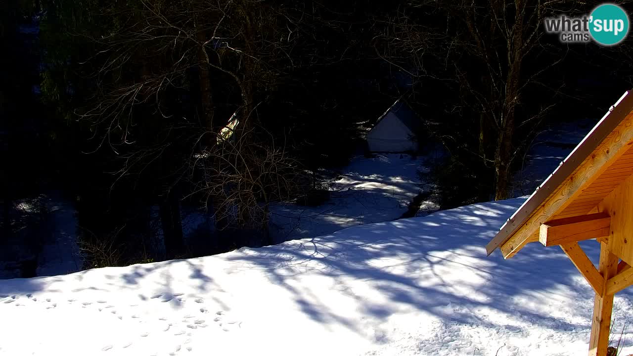 Webcam Lukanja – Water Village | Pohorje Houses