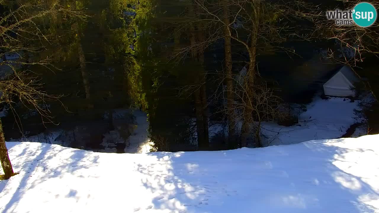 Spletna kamera Lukanja – Water Village | Pohorje Houses