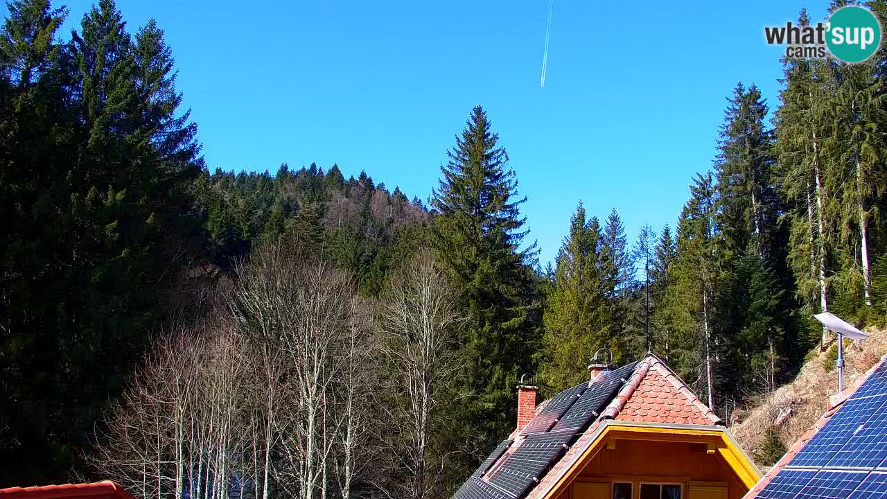 Webcam Lukanja – Pohorje houses a Water village