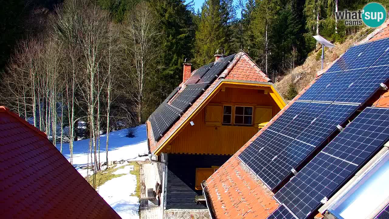 Webcam Lukanja – Water Village | Pohorje Houses