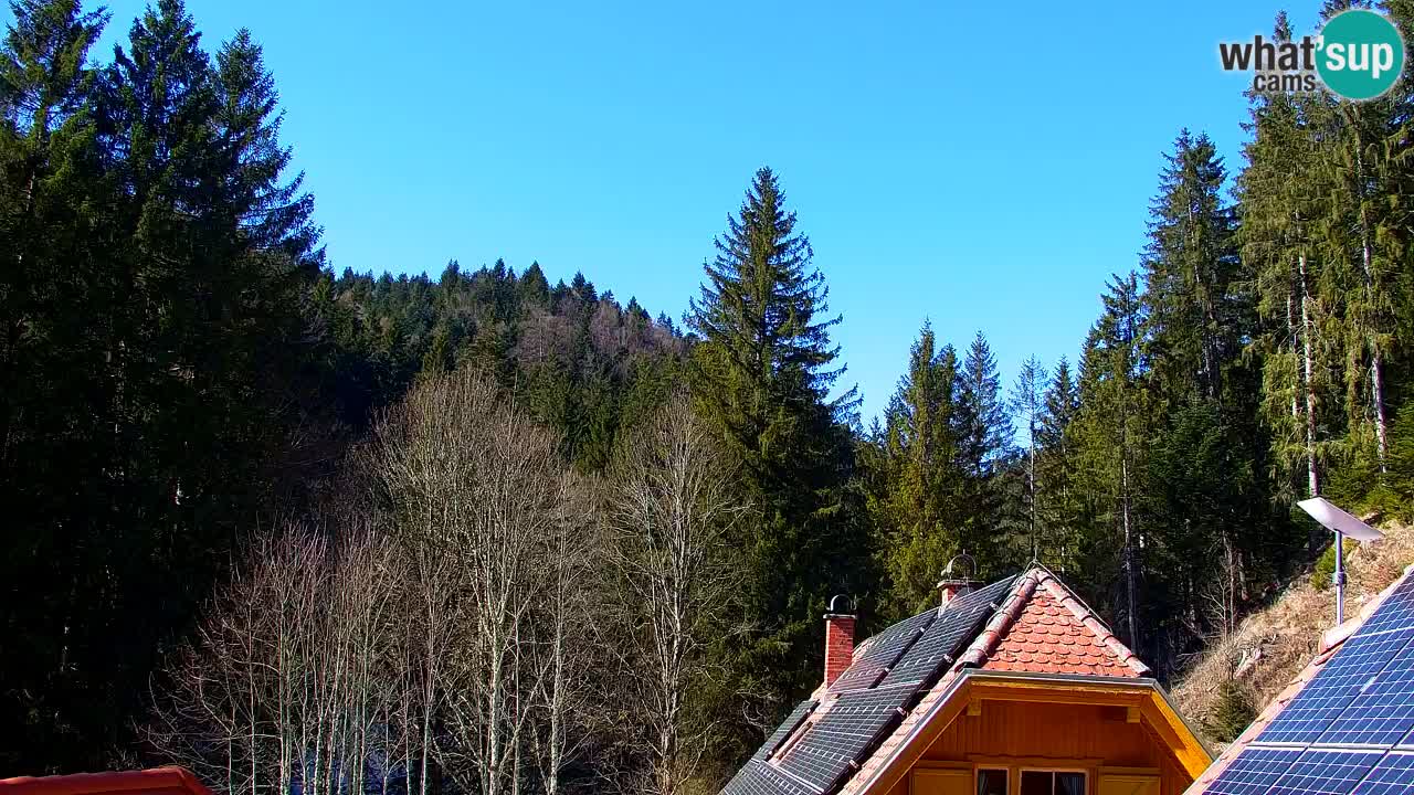 Web kamera Lukanja – Water Village | Pohorje Houses