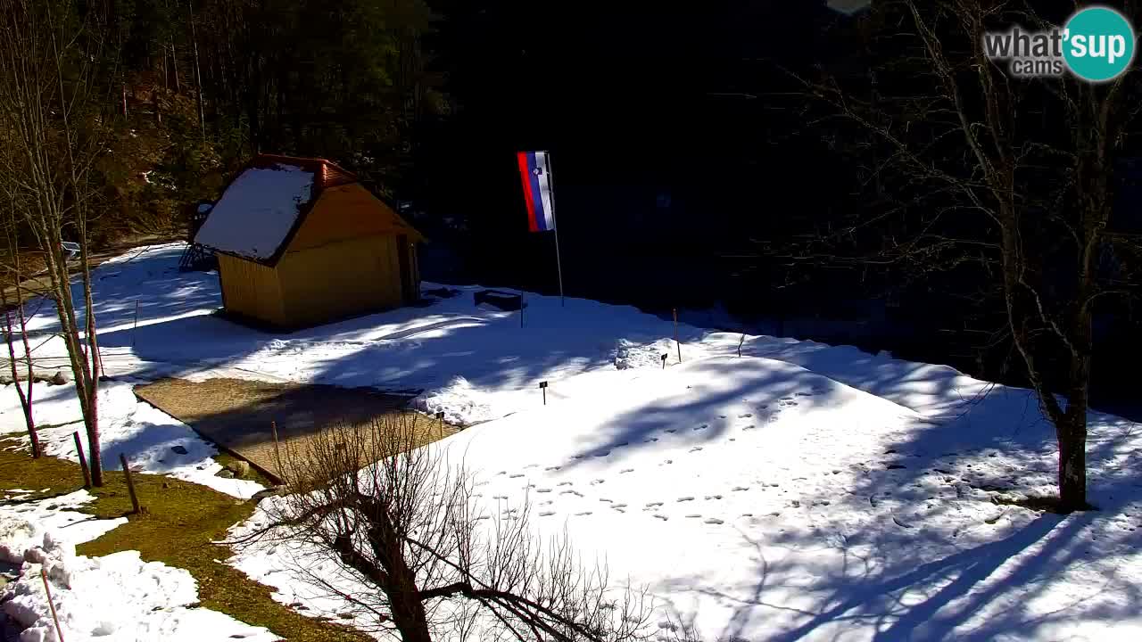 Webcam Lukanja – Water Village | Pohorje Houses