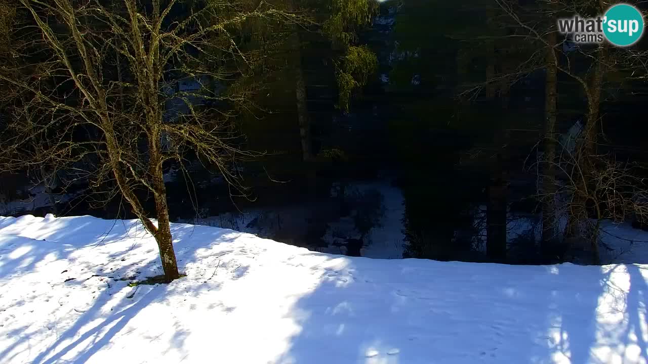 Webcam Lukanja – Water Village | Pohorje Houses