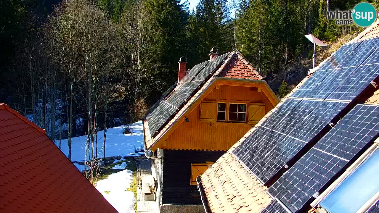 Webcam Lukanja – Pohorje houses a Water village