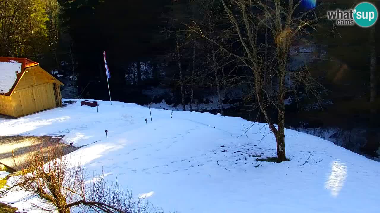 Webcam Lukanja – Pohorje houses a Water village