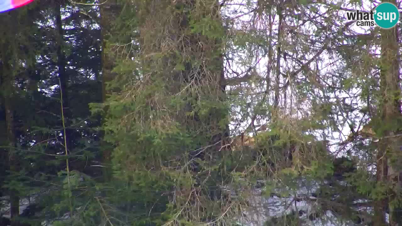 Webcam Lukanja – Pohorje houses a Water village