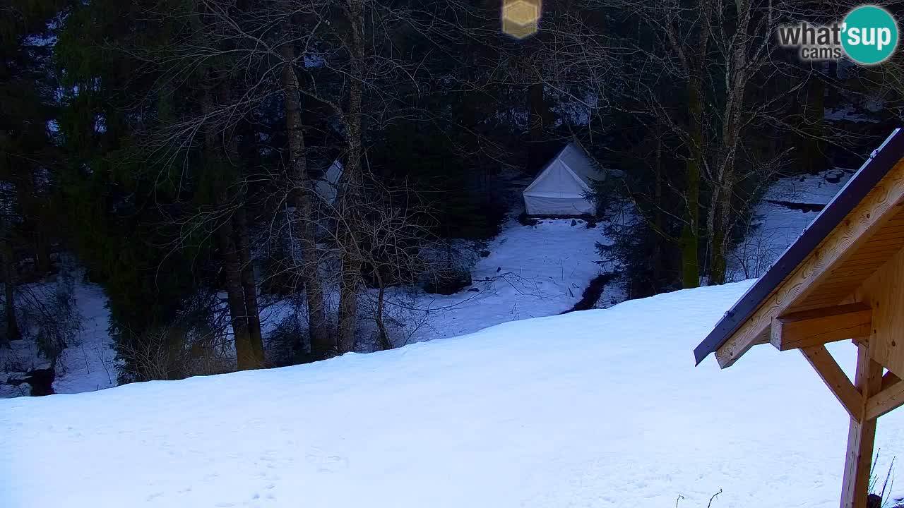 Spletna kamera Lukanja – Water Village | Pohorje Houses
