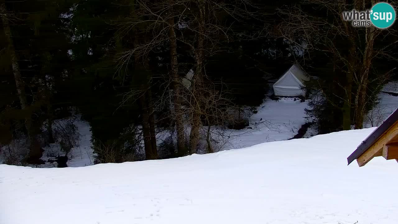 Webcam Lukanja – Water Village | Pohorje Houses