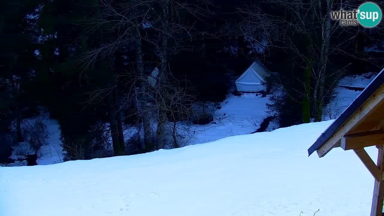 Spletna kamera Lukanja – Water Village | Pohorje Houses