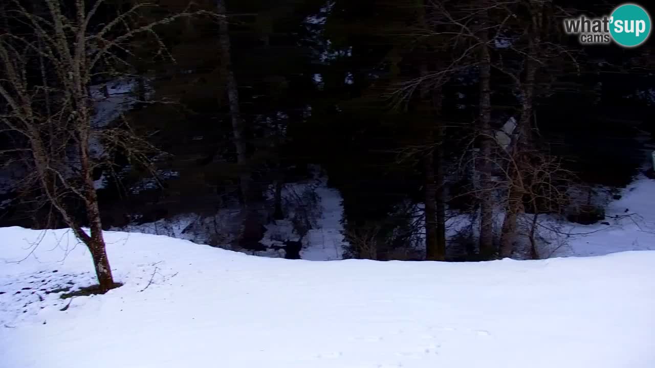 Webcam Lukanja – Water Village | Pohorje Houses