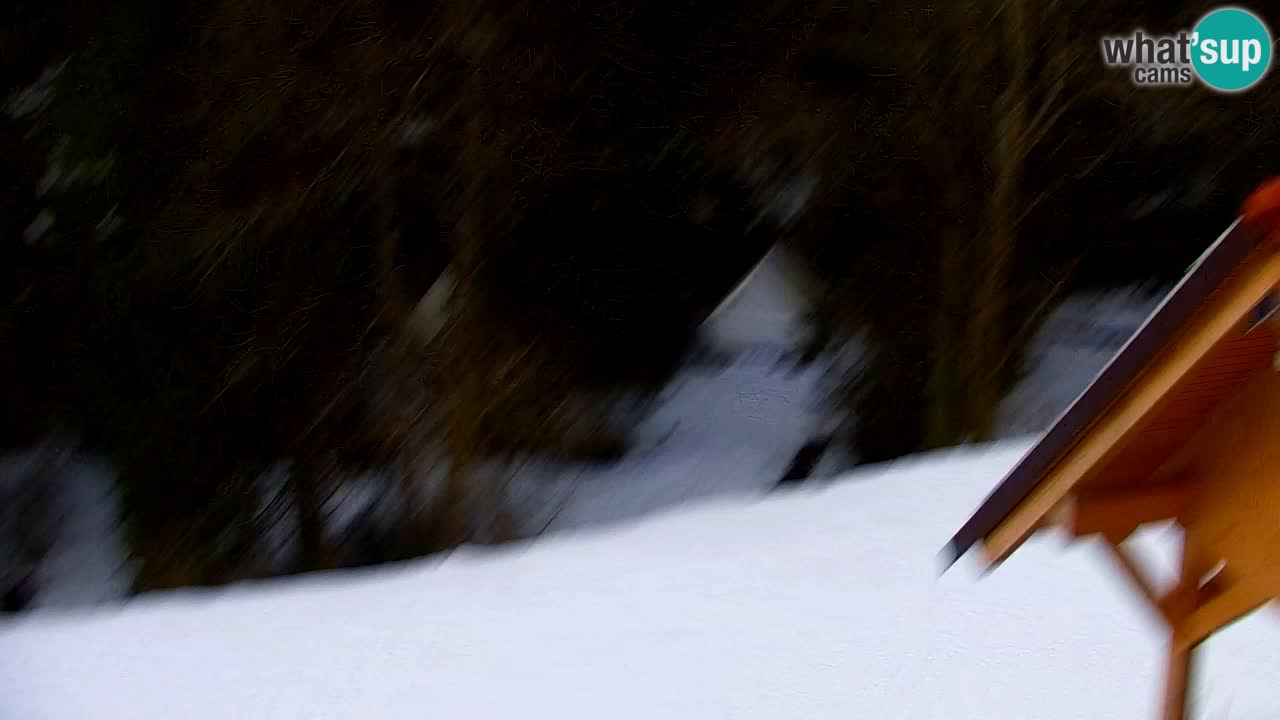 Webcam Lukanja – Water Village | Pohorje Houses