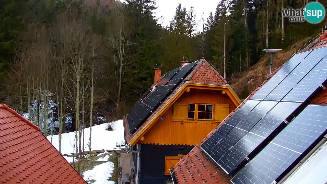 Web kamera Lukanja – Water Village | Pohorje Houses