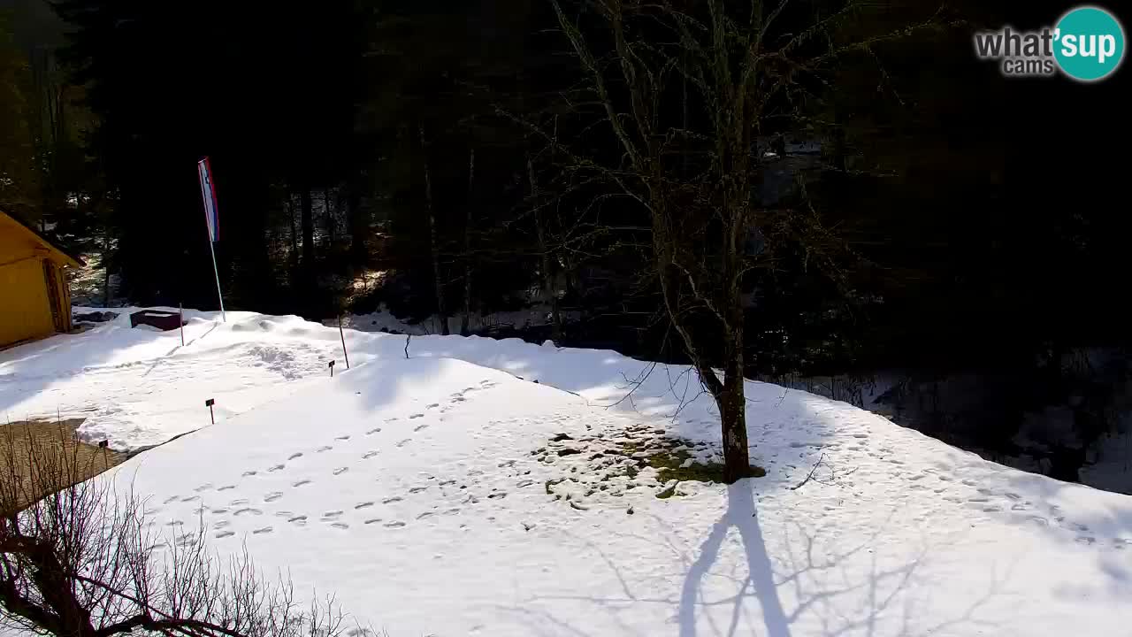 Webcam Lukanja – Water Village | Pohorje Houses