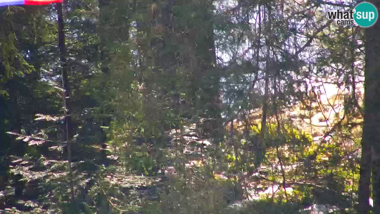 Webcam Lukanja – Water Village | Pohorje Houses