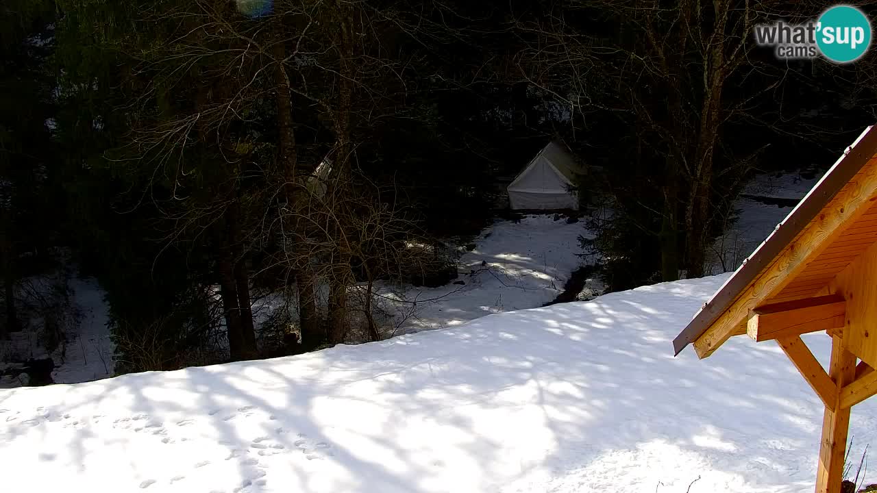 Webcam Lukanja – Water Village | Pohorje Houses