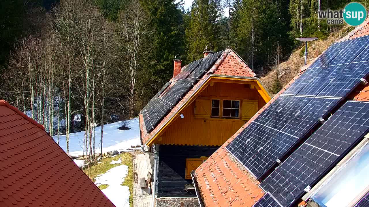 Webcam Lukanja – Water Village | Pohorje Houses