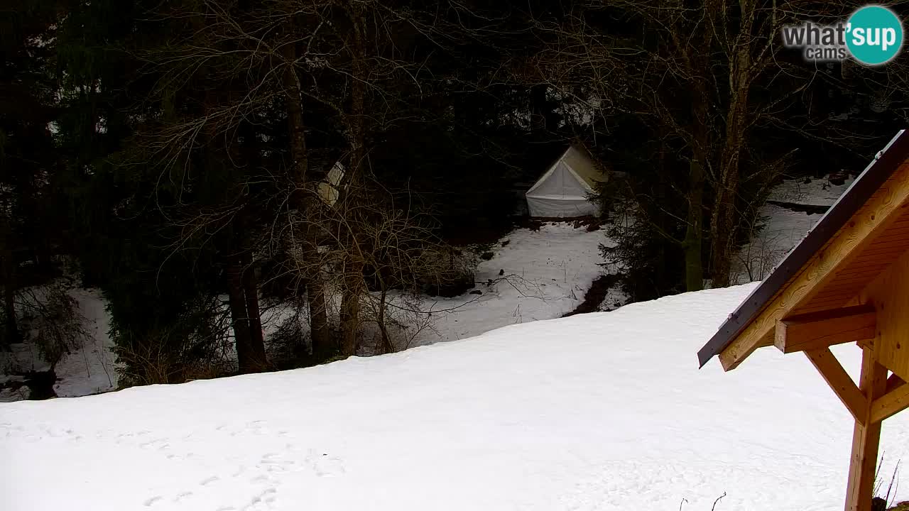 Webcam Lukanja – Water Village | Pohorje Houses