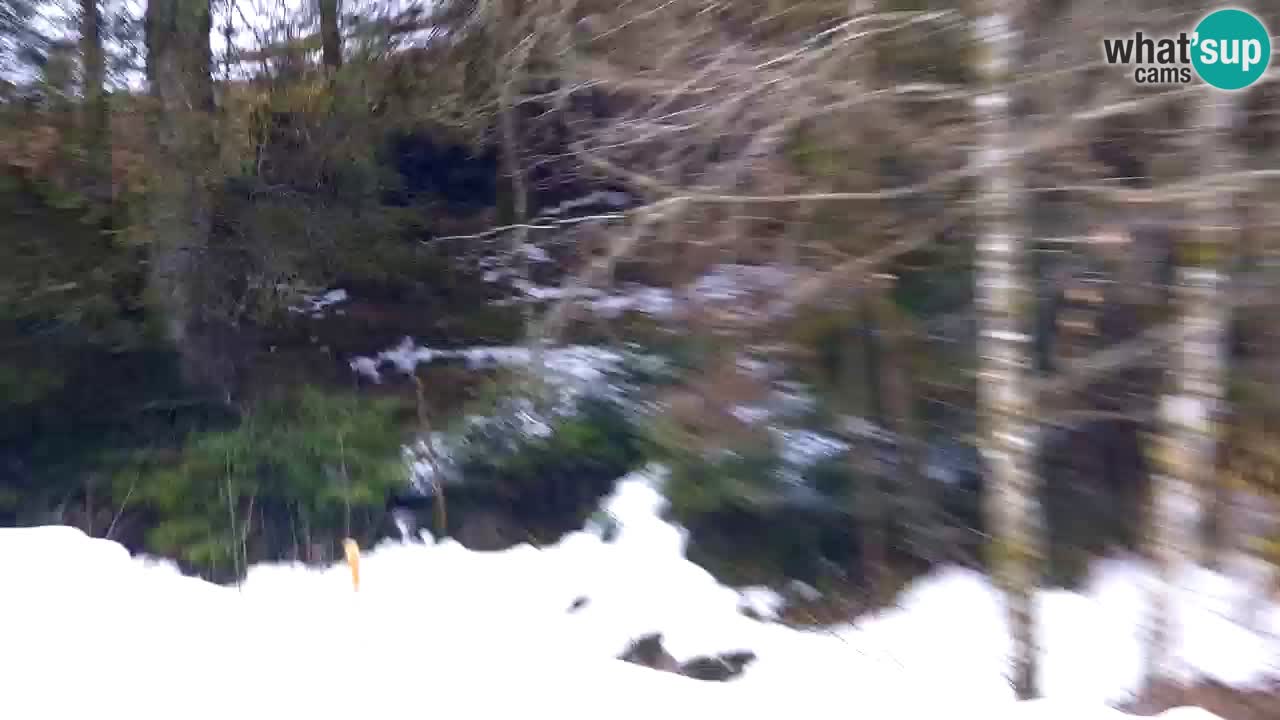 Webcam Lukanja – Water Village | Pohorje Houses