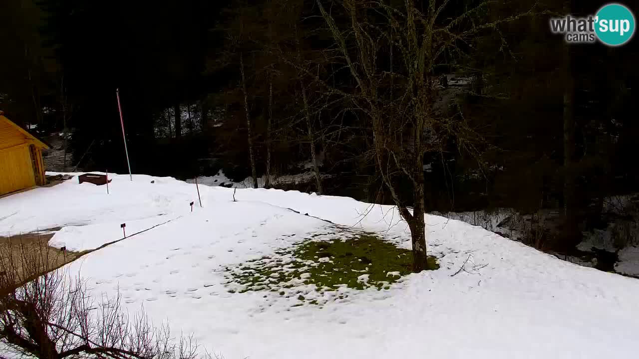 Webcam Lukanja – Water Village | Pohorje Houses