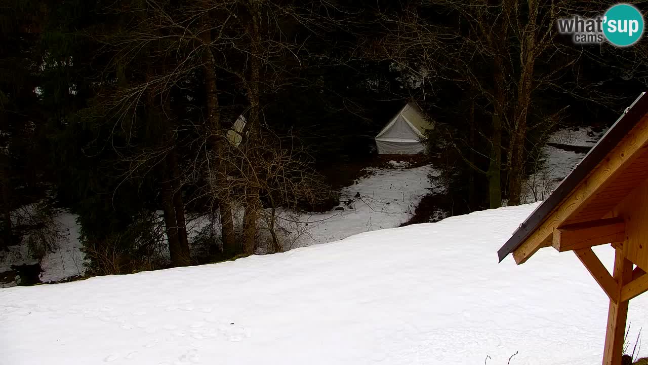Webcam Lukanja – Water Village | Pohorje Houses