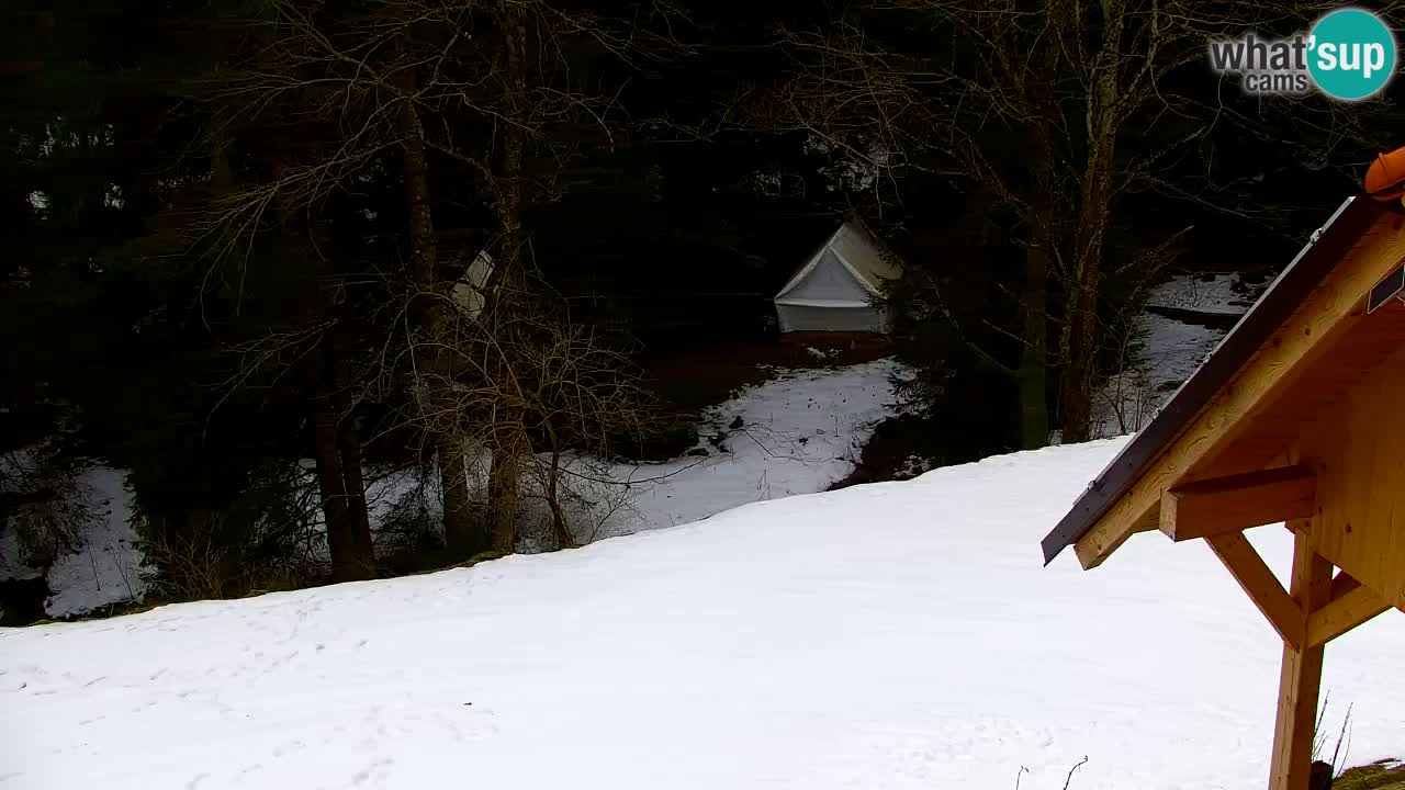 Webcam Lukanja – Water Village | Pohorje Houses