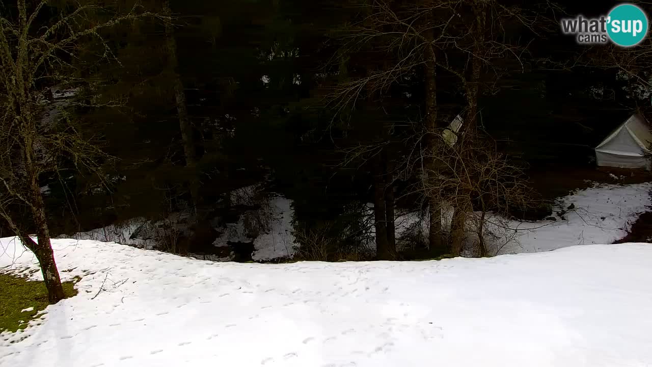 Spletna kamera Lukanja – Water Village | Pohorje Houses