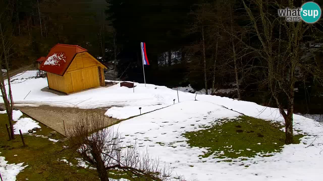Webcam Lukanja – Water Village | Pohorje Houses